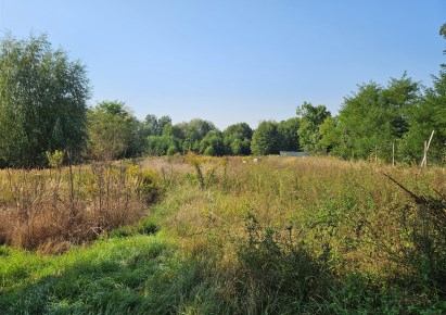 działka na sprzedaż - Sieradz (gw), Charłupia Mała