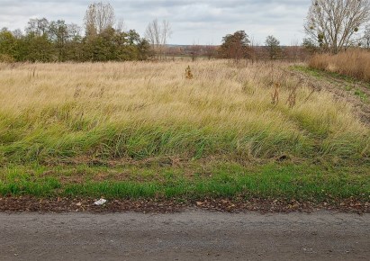 działka na sprzedaż - Sieradz (gw), Kowale