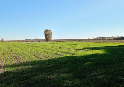 działka na sprzedaż - Burzenin, Kamionka